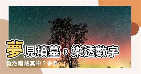 夢到小孩是幾號|夢境解讀數字竟然可以中樂透？整理好多個派網頁的解夢數字－。。